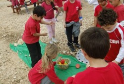 DSCF5656.jpg
